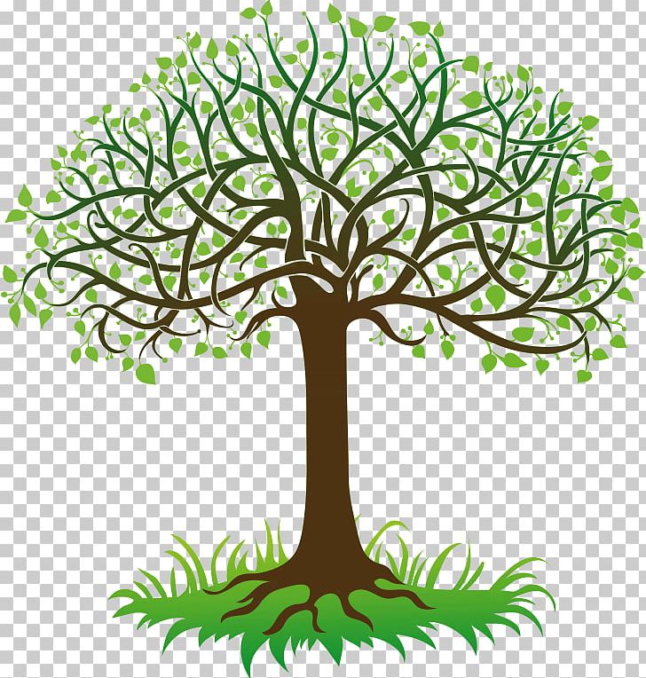 Tree Root PNG, Clipart, Artwork, Branch, Desktop Wallpaper, Drawing, Flower Free PNG Download