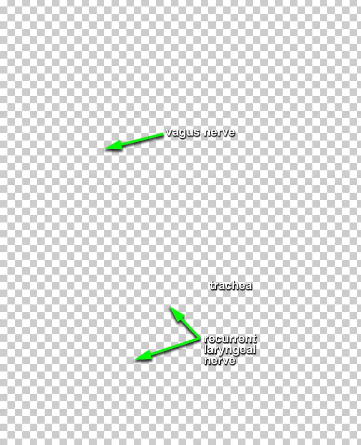 Green Line Angle PNG, Clipart, Angle, Area, Diagram, Green, Line Free PNG Download
