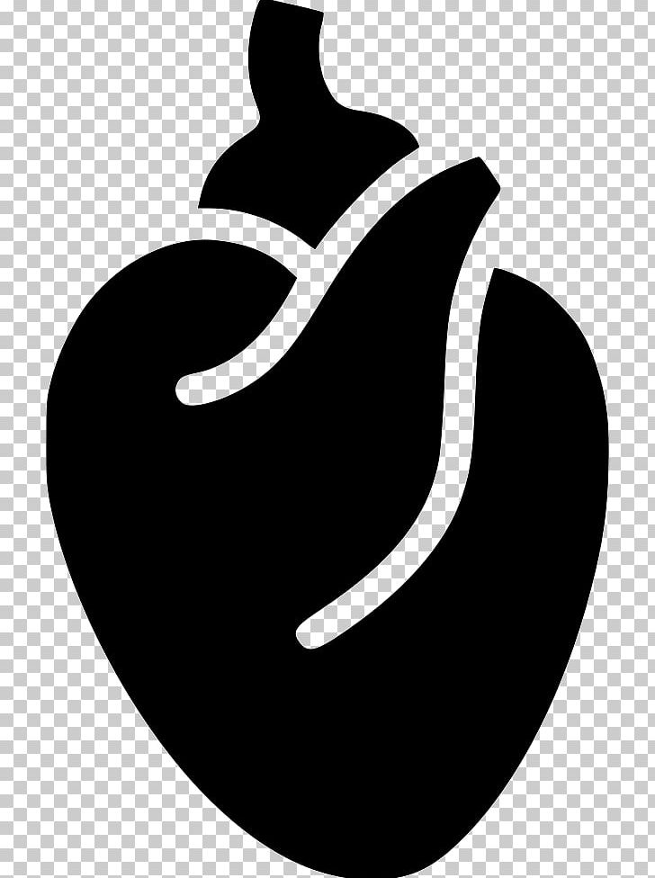 Anatomy Computer Icons Heart PNG, Clipart, Anatomy, Black And White, Blood, Cardiac Muscle, Circulatory System Free PNG Download