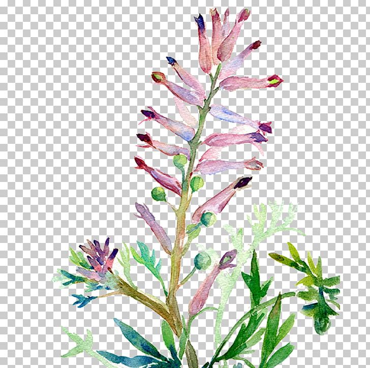 Flower Smoke Haze Purple PNG, Clipart, Branch, Cartoon, Download, Flora, Flora Free PNG Download