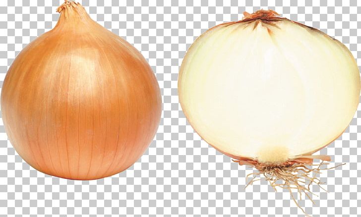 Onion PNG, Clipart, Onion Free PNG Download