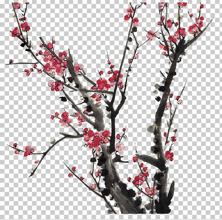 Plum Blossom Chinese Painting PNG, Clipart, Ameixeira, Blossom, Branch, Cherry Blossom, Chinese Free PNG Download
