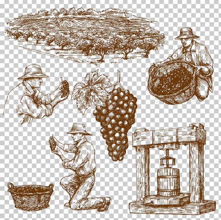 Wine Common Grape Vine Drawing PNG, Clipart, Agriculture, Elements Vector, Food, Grape, Hand Free PNG Download