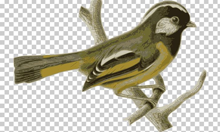 Bird Feather Yellow Beak PNG, Clipart, Animal, Beak, Bird, Blue, Chickadee Free PNG Download