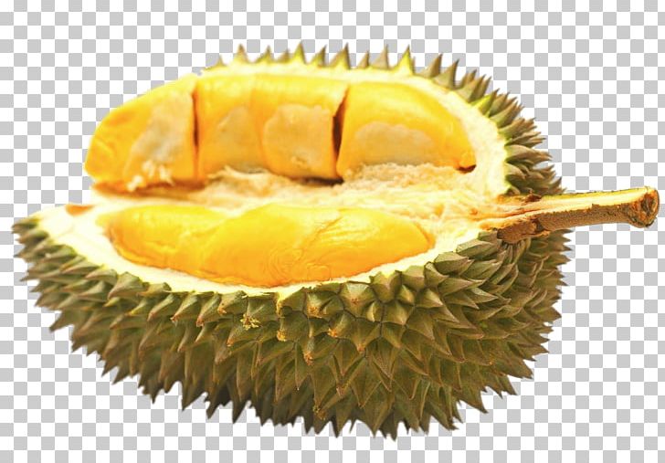 Durio Zibethinus Durian Pancake Auglis Fruit Flavor PNG, Clipart, Auglis, Benih, Daging Buah, Durian, Durian Pancake Free PNG Download