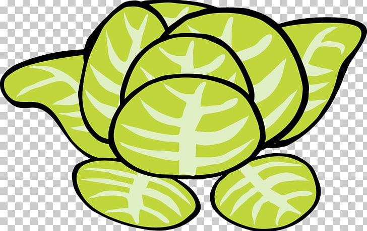 Iceberg Lettuce Hamburger Romaine Lettuce PNG, Clipart, Cabbage, Cabbage Cartoon, Cabbage Vector, Food, Fruit Free PNG Download
