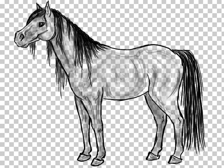 Mule Mustang Foal Colt Stallion PNG, Clipart, Black And White, Drawing, Fictional Character, Foal, Halter Free PNG Download