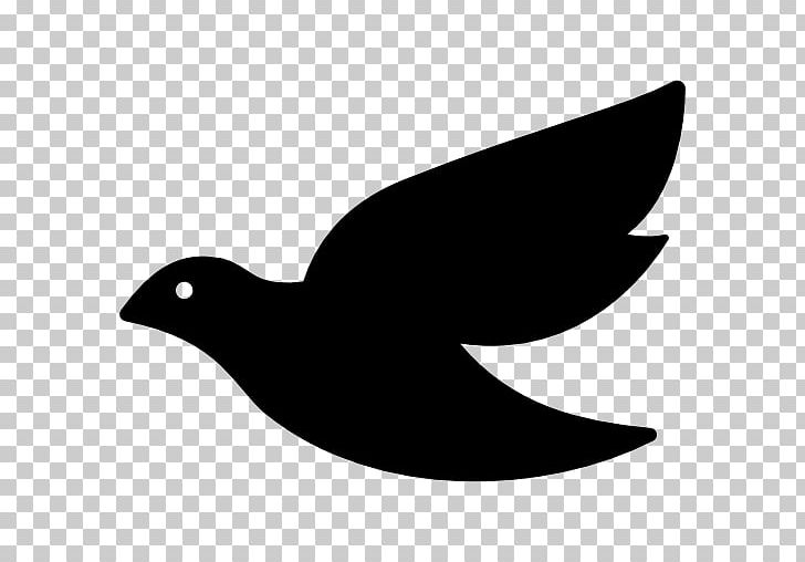Columbidae Domestic Pigeon Computer Icons Doves As Symbols PNG, Clipart, Beak, Bird, Black And White, Colombe, Columbidae Free PNG Download