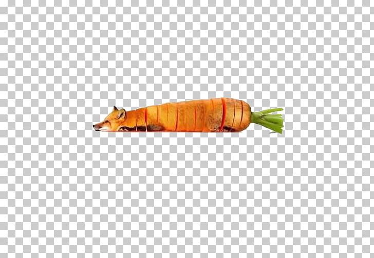 Food Hybrid Fruit Animal PNG, Clipart, Animal, Artist, Carro, Carrot, Creative Artwork Free PNG Download