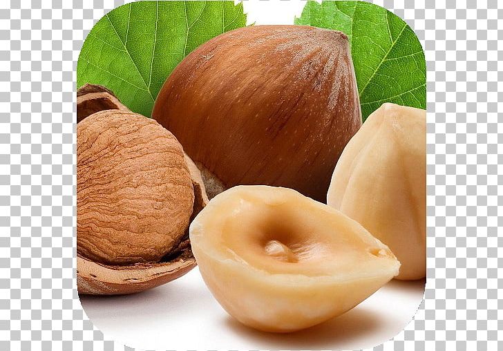Hazelnut Nutrient Nutrition Facts Label PNG, Clipart, Cashew, Common Hazel, Daha, Dried Fruit, Eating Free PNG Download