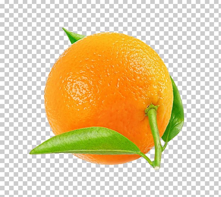 Tangerine Mandarin Orange Tangelo Rangpur Clementine PNG, Clipart, Bitter Orange, Chenpi, Citric Acid, Citrus, Clementine Free PNG Download