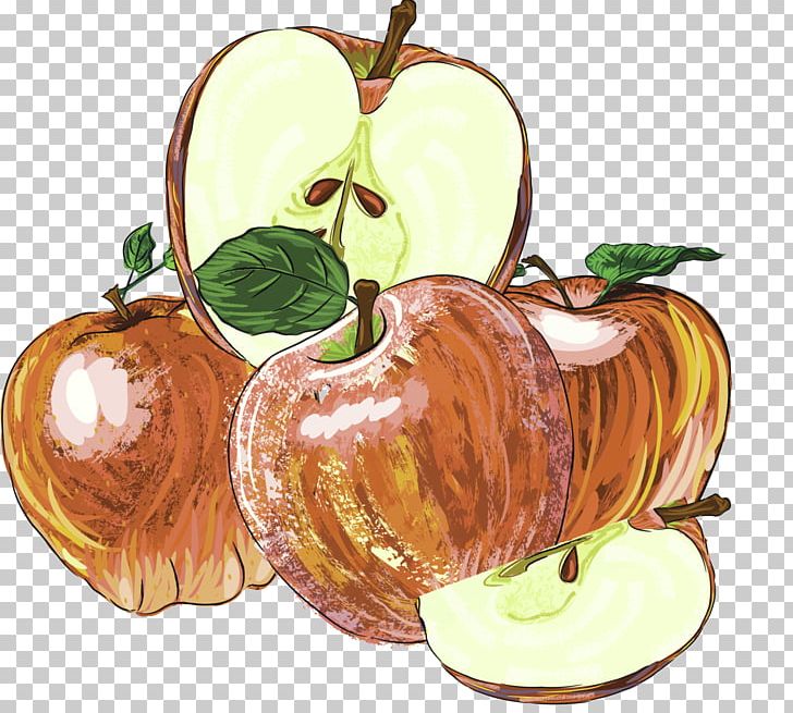 Apple Drawing PNG, Clipart, Christmas Decoration, Coreldraw, Decorative, Decorative Pattern, Download Free PNG Download