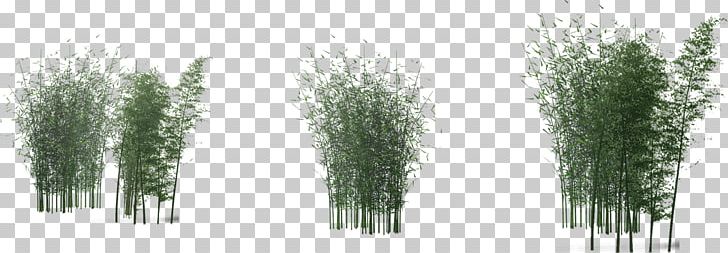 Bamboo Green PNG, Clipart, Art Green, Background Green, Bamboo, Bamboo Leaves, Clip Art Free PNG Download