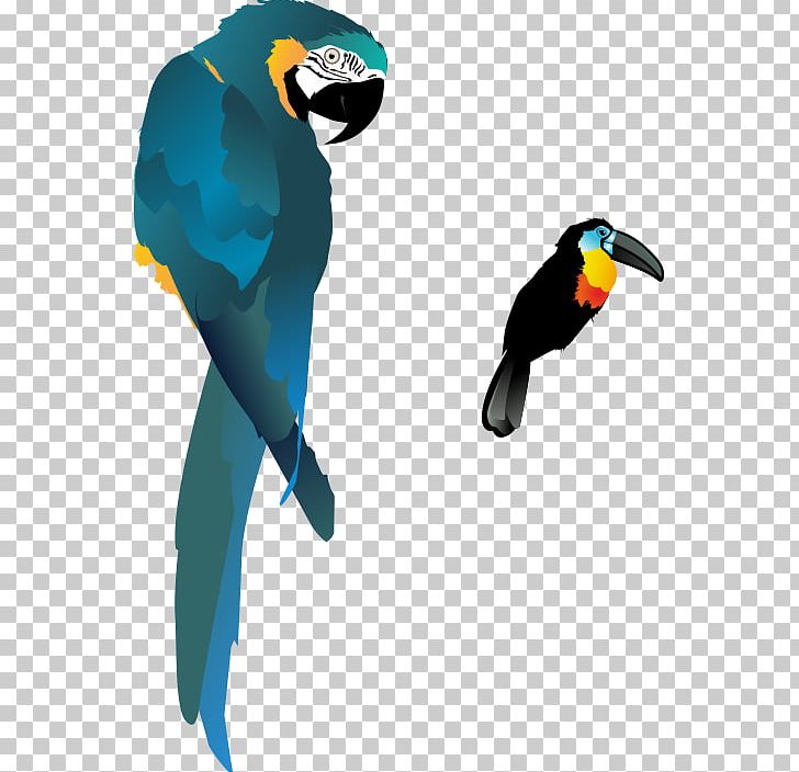 Bird True Parrot Macaw PNG, Clipart, Animals, Animation, Balloon Cartoon, Beak, Boy Cartoon Free PNG Download