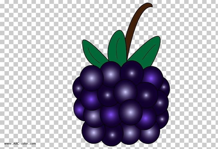Blackberry Pie PNG, Clipart, Berry, Bilberry, Blackberry, Blackberry Pie, Blackberry Winter Free PNG Download