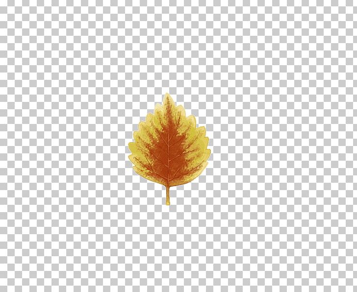 Leaf Autumn PNG, Clipart, Autumn, Autumn Leaves, Autumn Tree, Cartoon, Computer Numerical Control Free PNG Download