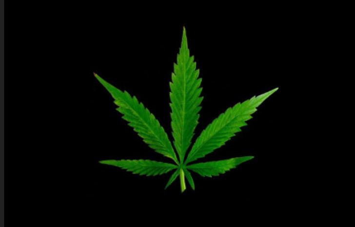 Cannabis High-definition Television Desktop High-definition Video Leaf PNG, Clipart, 4k Resolution, 1080p, Cannabis, Computer Wallpaper, Desktop Wallpaper Free PNG Download