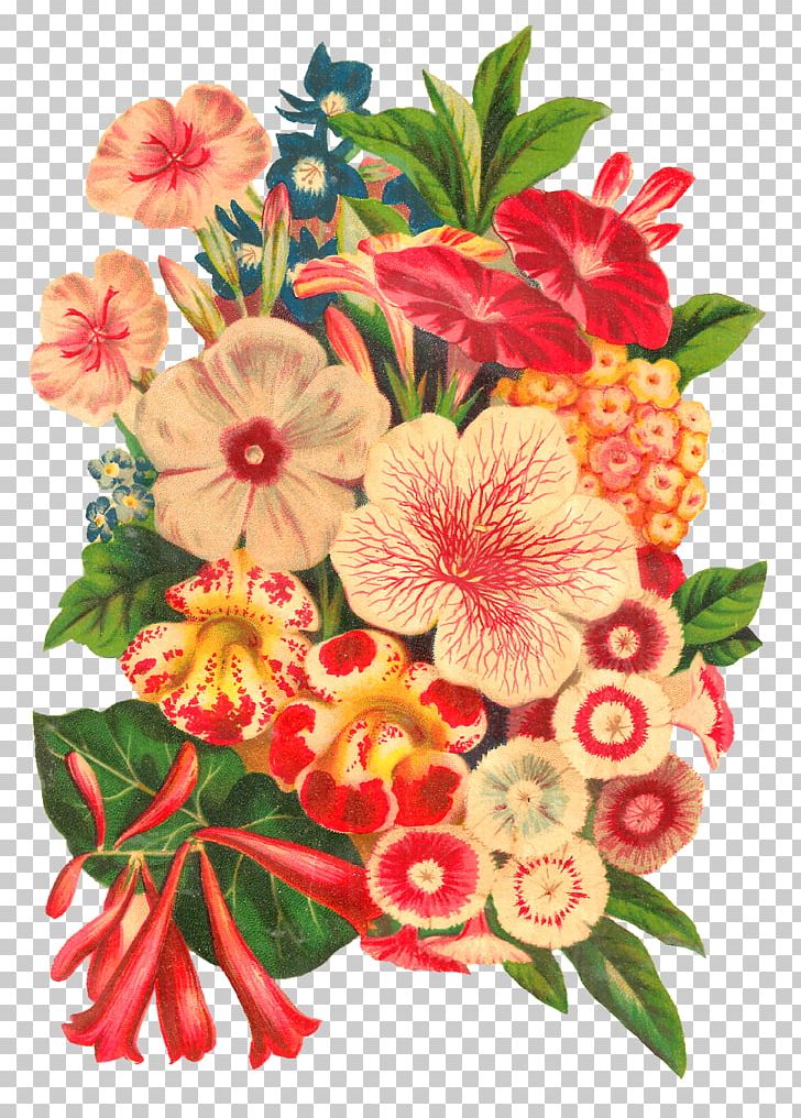 Flower Bouquet Floral Design Cut Flowers Botanical Illustration PNG, Clipart, Annual Plant, Biodiversity Heritage Library, Botanical Illustration, Botany, Chrysanths Free PNG Download