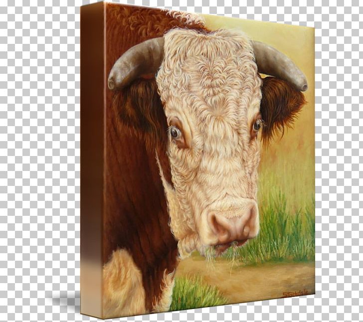 Hereford Cattle Calf Hereford Pig Bull Dairy Cattle PNG, Clipart, Animals, Art, Bull, Calf, Cattle Free PNG Download
