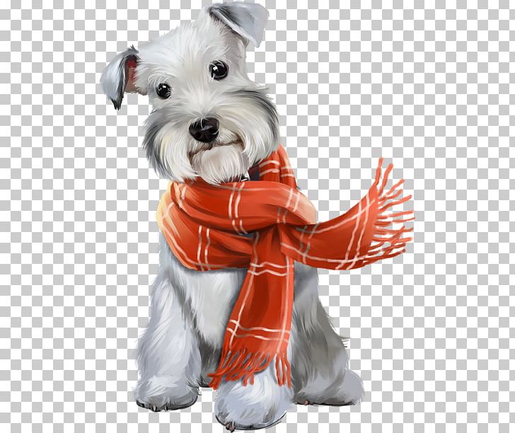 Miniature Schnauzer Puppy Maltese Dog PNG, Clipart, Animal, Animals, Carnivoran, Companion Dog, Dog Free PNG Download