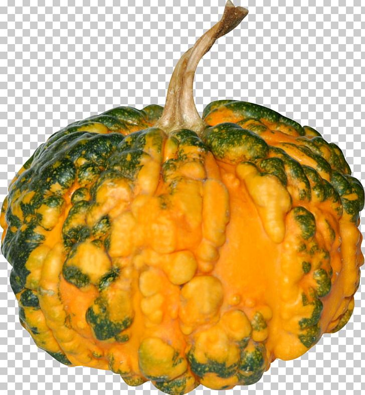 Vegetable Cucurbita Pumpkin Food Squash PNG, Clipart, Calabaza, Cucumber Gourd And Melon Family, Cucurbita, Food, Food Drinks Free PNG Download