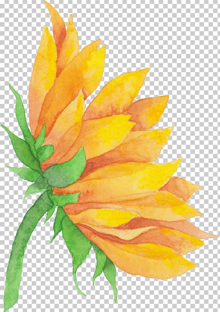 Common Sunflower Cut Flowers Sticker Sunflower M PNG, Clipart, Common Sunflower, Cut Flowers, Emoji, Floristry, Flower Free PNG Download