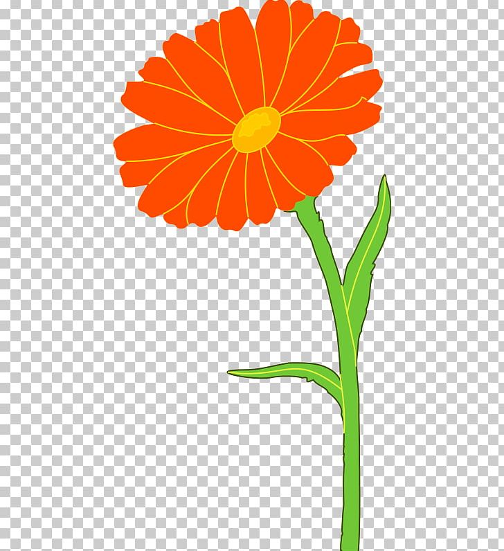 Mexican Marigold Calendula Officinalis PNG, Clipart, Artwork, Calendula, Calendula Officinalis, Chrysanths, Cut Flowers Free PNG Download