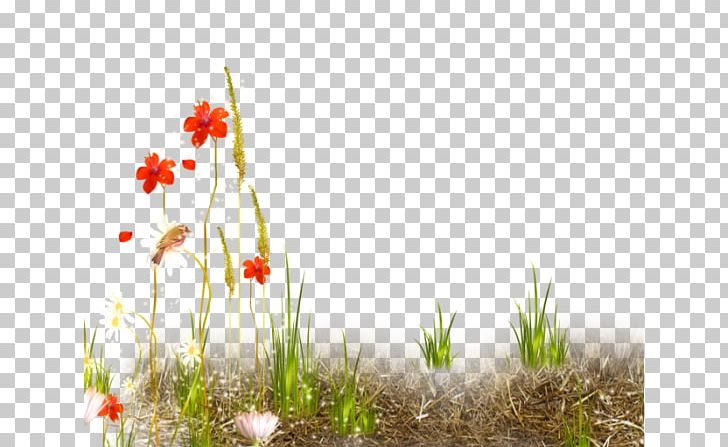 PhotoFiltre Blog PNG, Clipart, 2016, 2017, August, Chaleur, Computer Wallpaper Free PNG Download