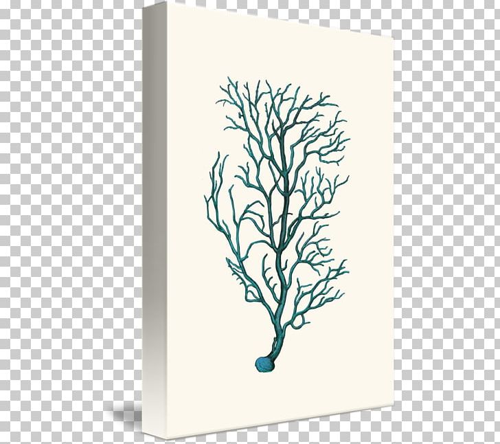 Printmaking Canvas Graphic Arts Vintage Print PNG, Clipart, Art, Branch, Canvas, Coral, Drawing Free PNG Download