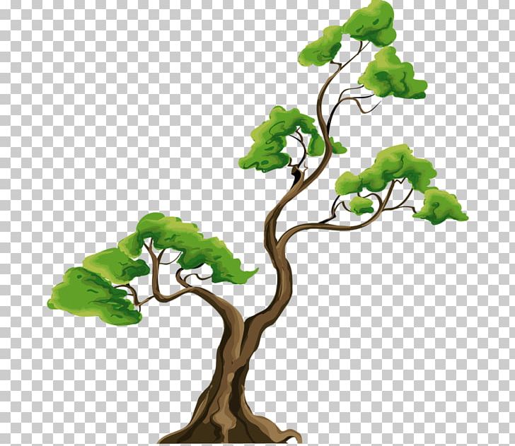 Bonsai Tree Stock Photography PNG, Clipart, Bonsai, Bonsai Tree, Branch, Clip Art, Computer Icons Free PNG Download
