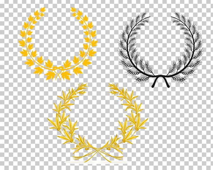 Olive Branch Laurel Wreath Olive Wreath PNG, Clipart, Body Jewelry, Bottle Stickers, Branch, Christmas Decoration, Circle Free PNG Download