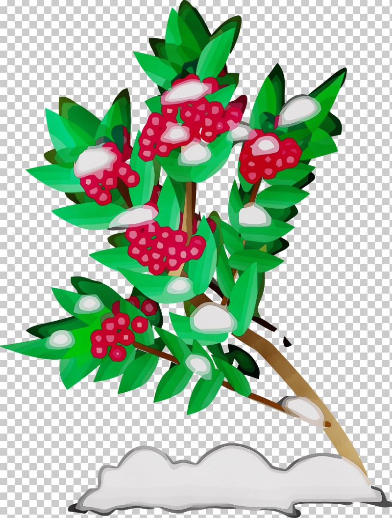 Holly PNG, Clipart, Branch, Flower, Holly, Leaf, Paint Free PNG Download