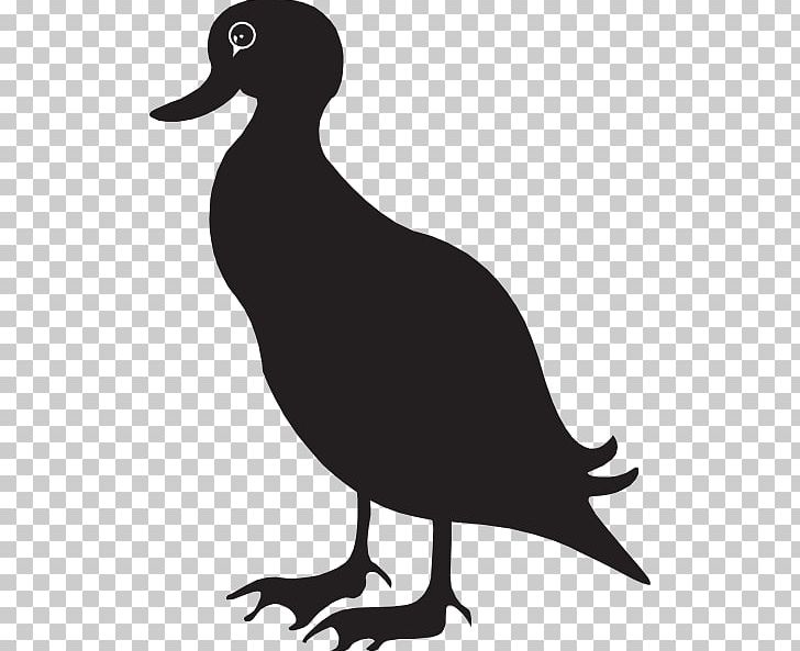Duck Mallard Goose Silhouette PNG, Clipart, American Black Duck, Beak, Bird, Black And White, Clip Art Free PNG Download