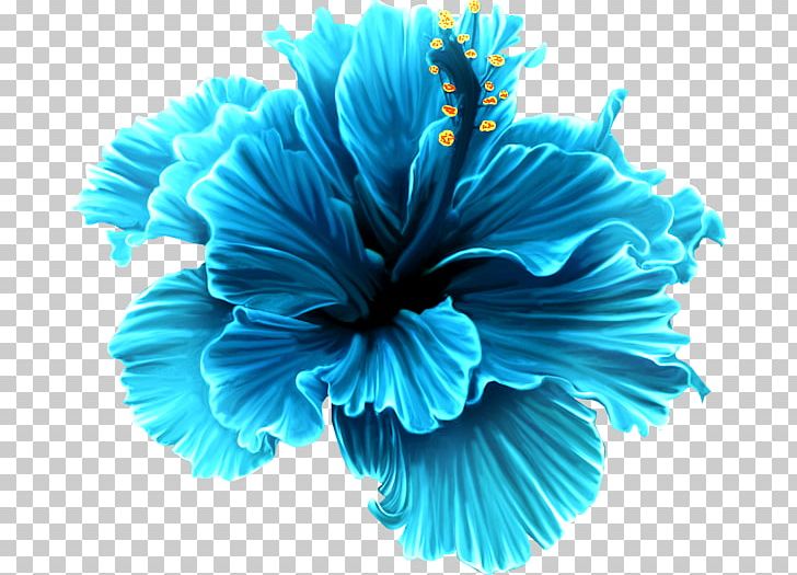 Flower Rose PNG, Clipart, Aqua, Blue, Blue Rose, Clip Art, Desktop Wallpaper Free PNG Download