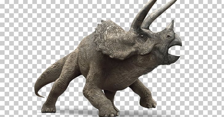 Triceratops Tyrannosaurus Apatosaurus Velociraptor Stegosaurus PNG, Clipart, Animal Figure, Apatosaurus, Ceratopsidae, Deviantart, Dinosaur Free PNG Download