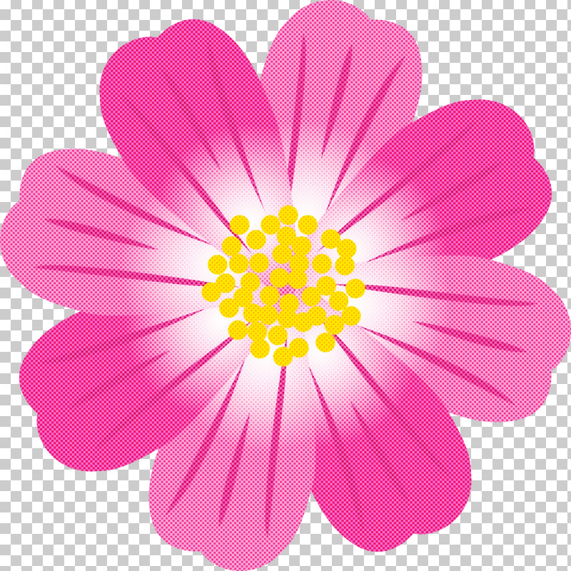 Petal Pink Flower Plant Cosmos PNG, Clipart, Cosmos, Daisy Family, Flower, Garden Cosmos, Gerbera Free PNG Download