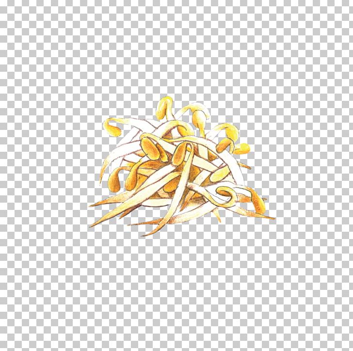 Commodity Shoot Bean Sprout PNG, Clipart, Bean Sprout, Bean Sprouts, Commodity, Food, Ingredient Free PNG Download