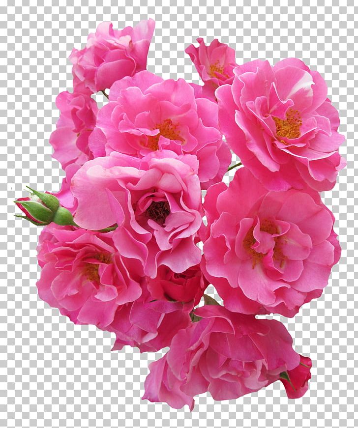 Rose Pink Flowers PNG, Clipart, Annual Plant, Artificial Flower, Azalea, Blossom, Cut Flowers Free PNG Download