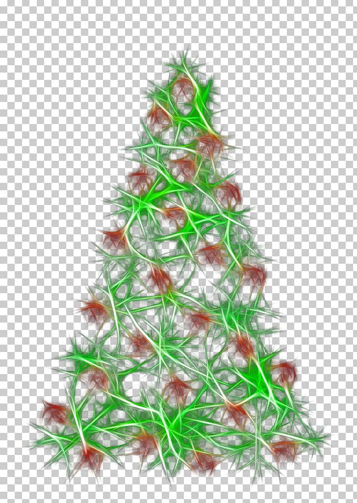 Christmas Tree Christmas Ornament Christmas Decoration PNG, Clipart, Abies Firma, Branch, Christmas, Christmas Decoration, Christmas Ornament Free PNG Download