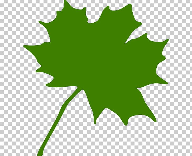 Canada Red Maple Maple Leaf PNG, Clipart, Autumn Leaf Color, Canada, Drawing, Flag Of Canada, Flowering Plant Free PNG Download
