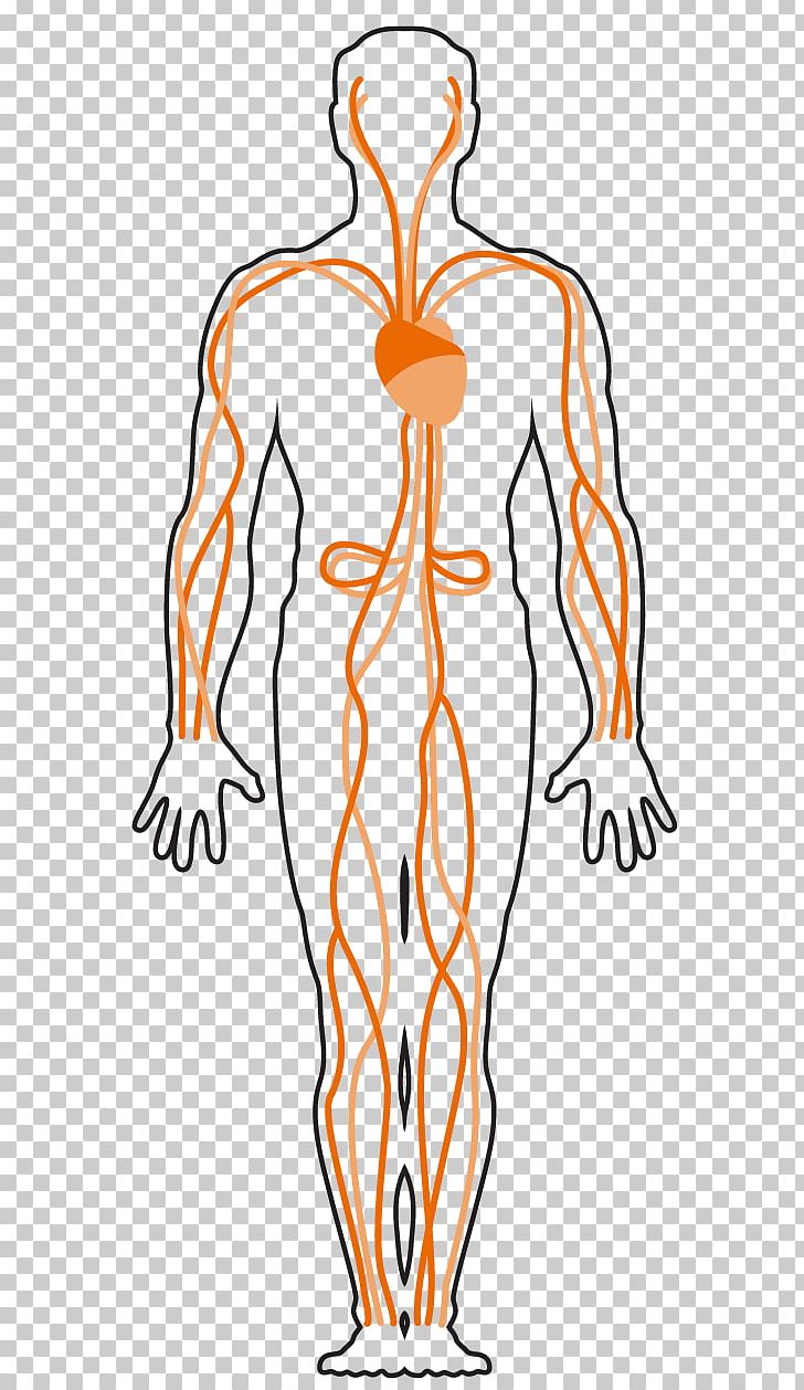 Finger Respiratory System Human Body Muscle Asphyxia PNG, Clipart, Arm, Art, Asphyxia, Breathing, Chemical Warfare Free PNG Download