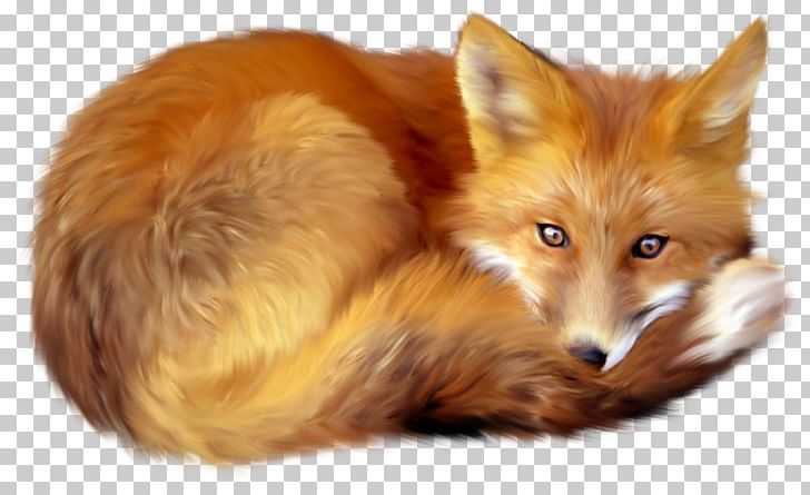 Fox PNG, Clipart, Animals, Carnivoran, Computer Icons, Document, Dog Like Mammal Free PNG Download