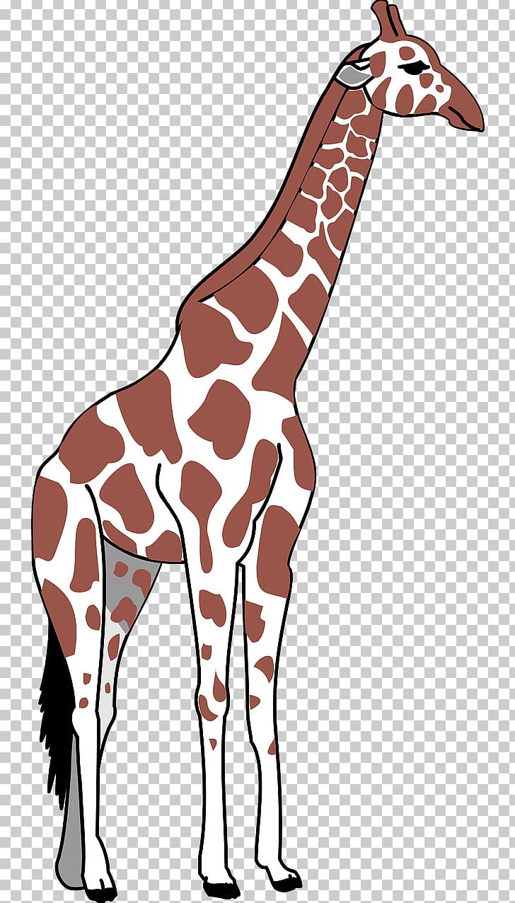 Giraffe Neck Greater Rhea PNG, Clipart, Animal, Animal Figure, Animals, Fauna, Giraffe Free PNG Download