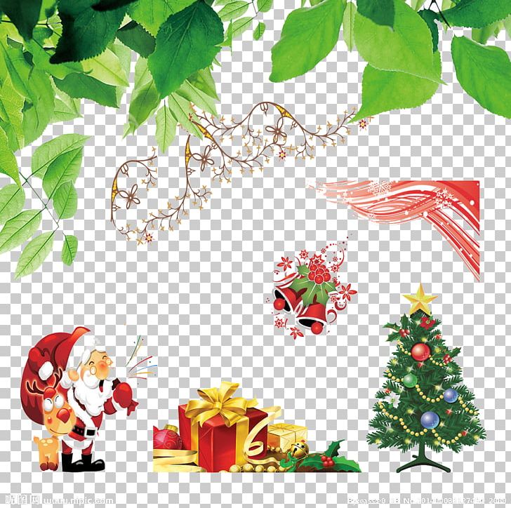 Christmas Tree Christmas Ornament Christmas Gift Leaf PNG, Clipart, Birthday, Branch, Christmas Decoration, Christmas Frame, Christmas Lights Free PNG Download