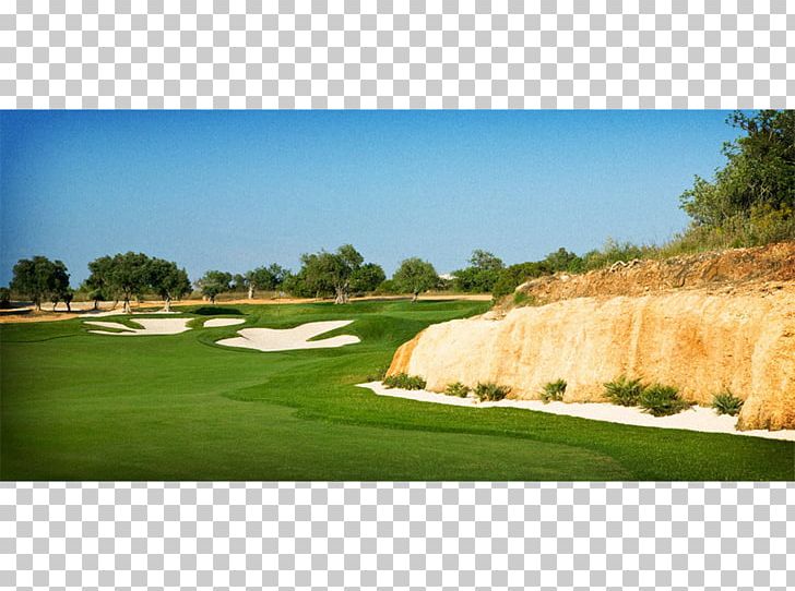 Golf Course Recreation Golf Clubs Grassland PNG, Clipart, Countdown, Field, Golf, Golf Club, Golf Clubs Free PNG Download