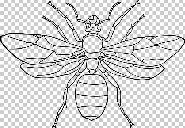 Queen Ant Insect Drawing PNG, Clipart, Animals, Ant, Ants, Artwork, Black And White Free PNG Download