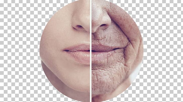 Ageing Research Aging-associated Diseases Science Life Extension PNG, Clipart, Age, Ageing, Agingassociated Diseases, Beauty, Cheek Free PNG Download