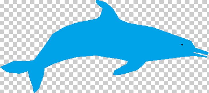 Common Bottlenose Dolphin Tucuxi PNG, Clipart, Animated, Beak, Blue, Common Bottlenose Dolphin, Computer Icons Free PNG Download