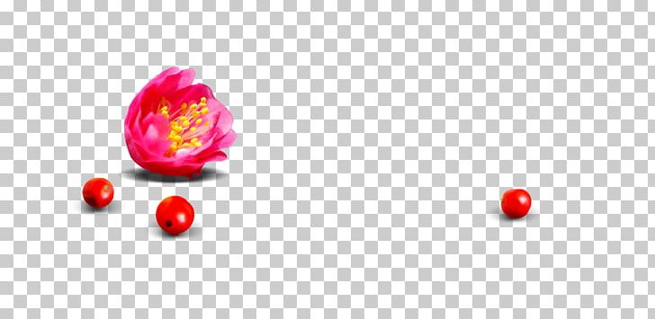 Computer PNG, Clipart, Bright, Computer, Computer Wallpaper, Flower, Golden Lotus Free PNG Download