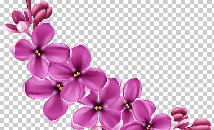 Flower PNG, Clipart, Blossom, Cut Flowers, Daphne, Desktop Wallpaper, Encapsulated Postscript Free PNG Download